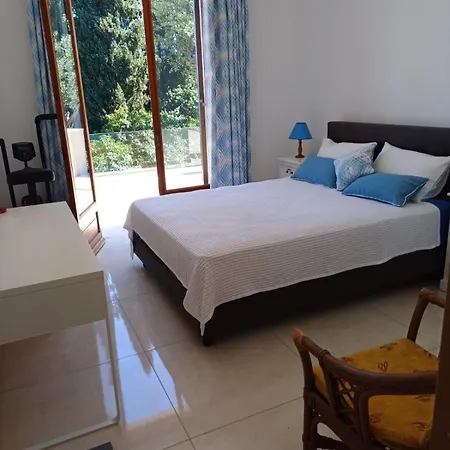 Penthouse Marina Lejlighed